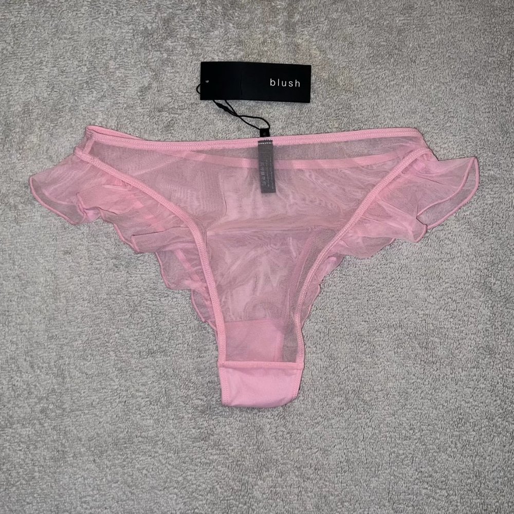 *RARE* Blush Lingerie - 'Flutter' High Leg Sheer Mesh Bikini - Picture 5 of 6